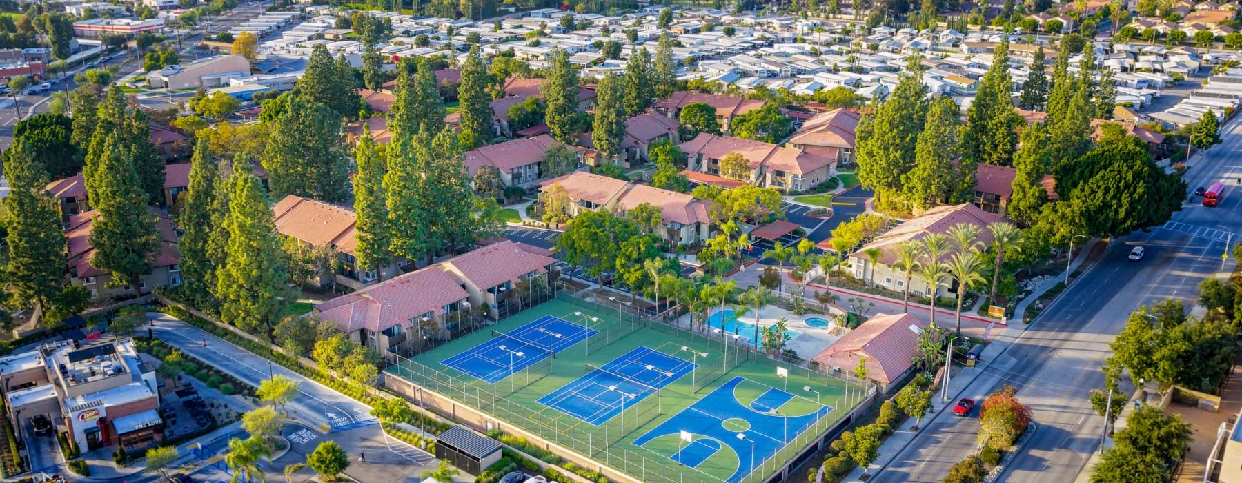 Aerial view of the Citrus Place Apartments complex, showing tile-roofed buildings surrounded by tall trees, tennis and basketball courts, and a swimming pool, with a residential neighborhood in the background.