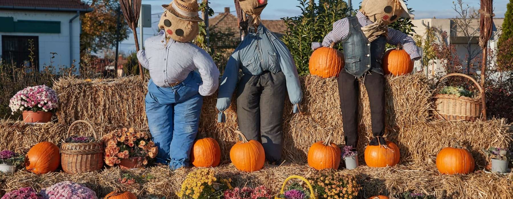 Three scarecrows among hay bales, pumpkins, mums, and baskets in an outdoor fall display.